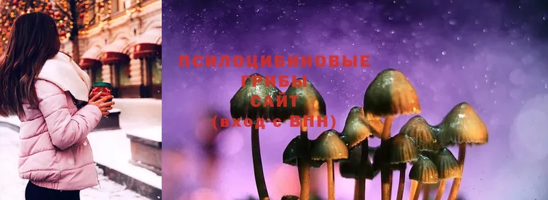 Псилоцибиновые грибы Magic Shrooms  закладка  Аргун 